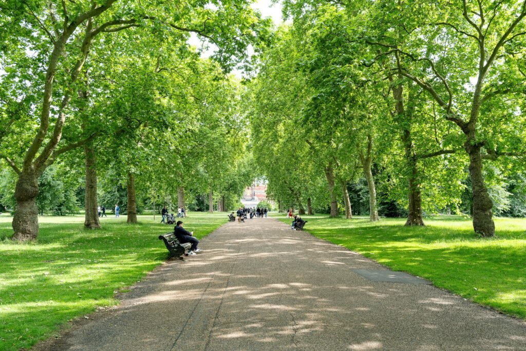 ST Dusntan In the East