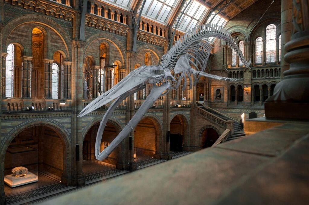 National museum Cardiff