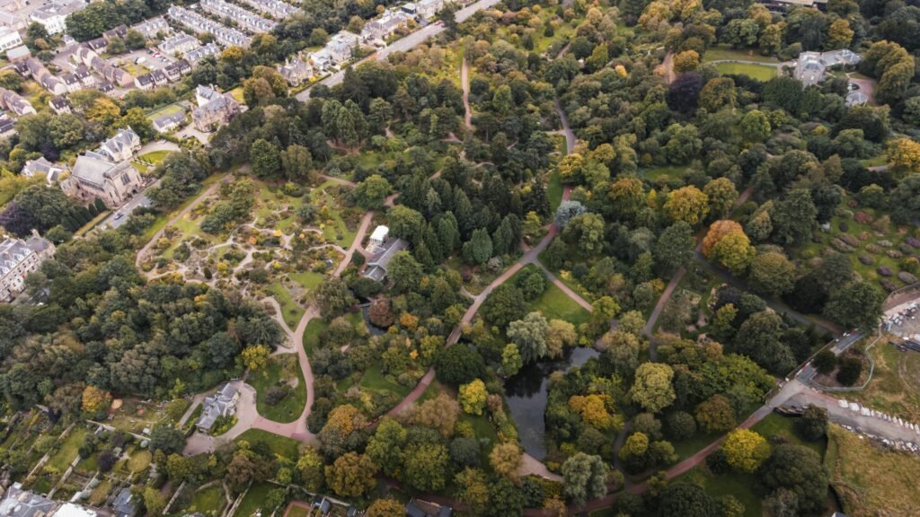 Best image of Dunbar's close garden
