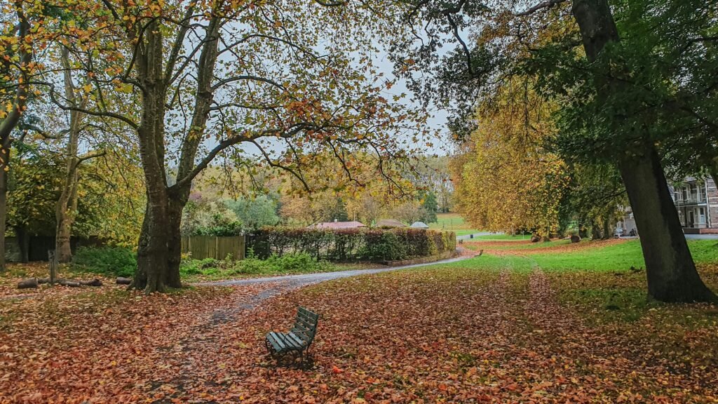 Bute park Cardiff