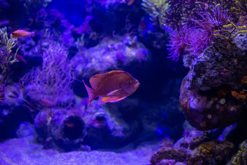  Bristol Aquarium